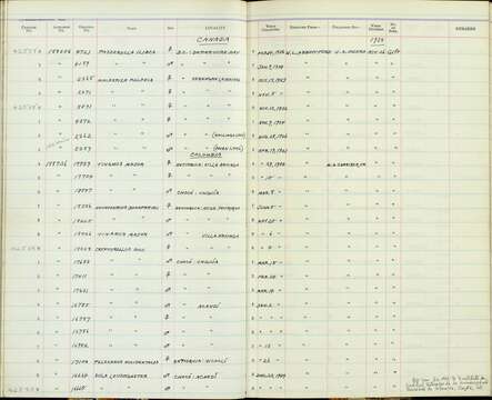 Crypturellus soui harterti (Brabourne, Chubb & C 1914) resmi