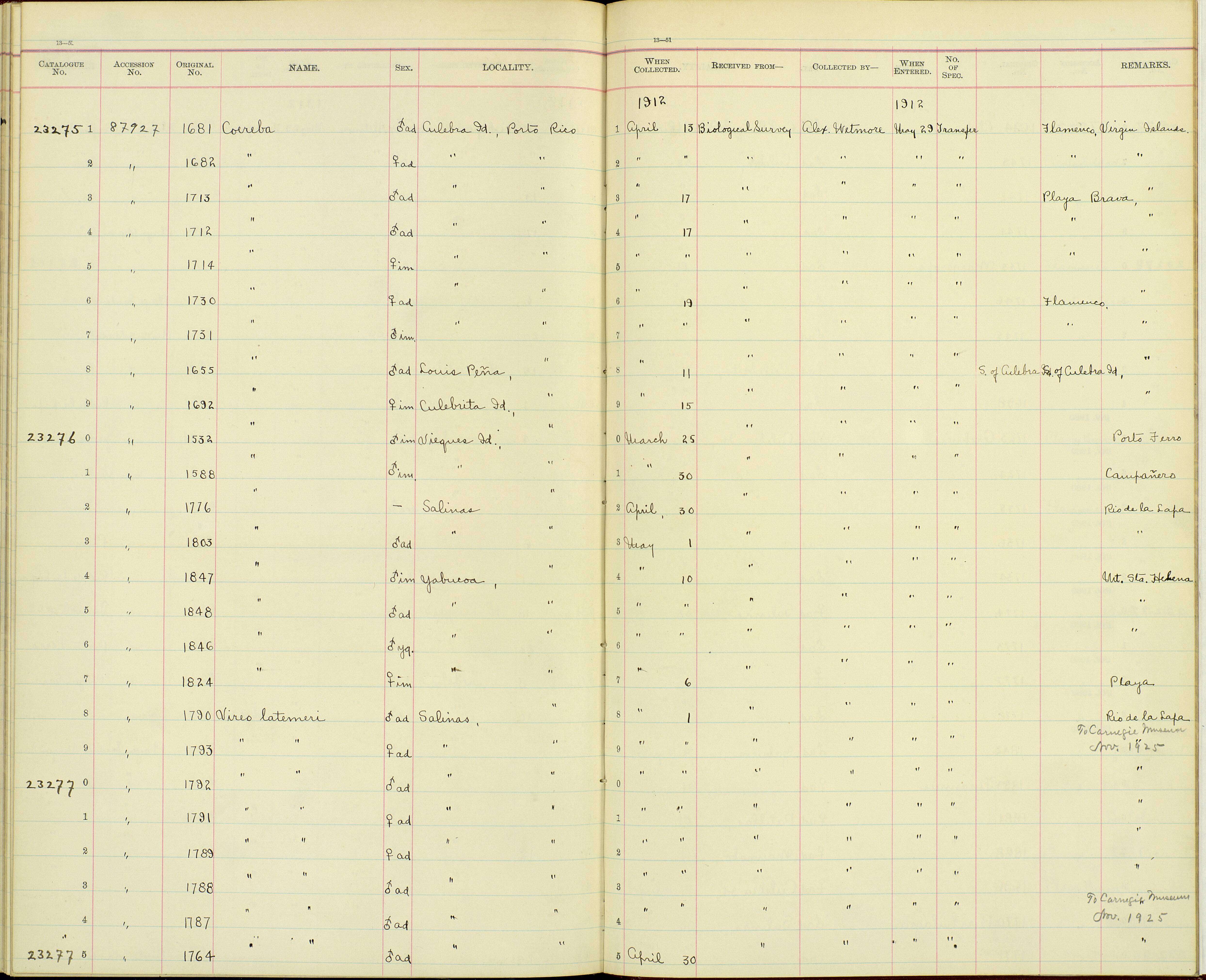 صورة Coereba flaveola sanctithomae (Sundevall 1869)