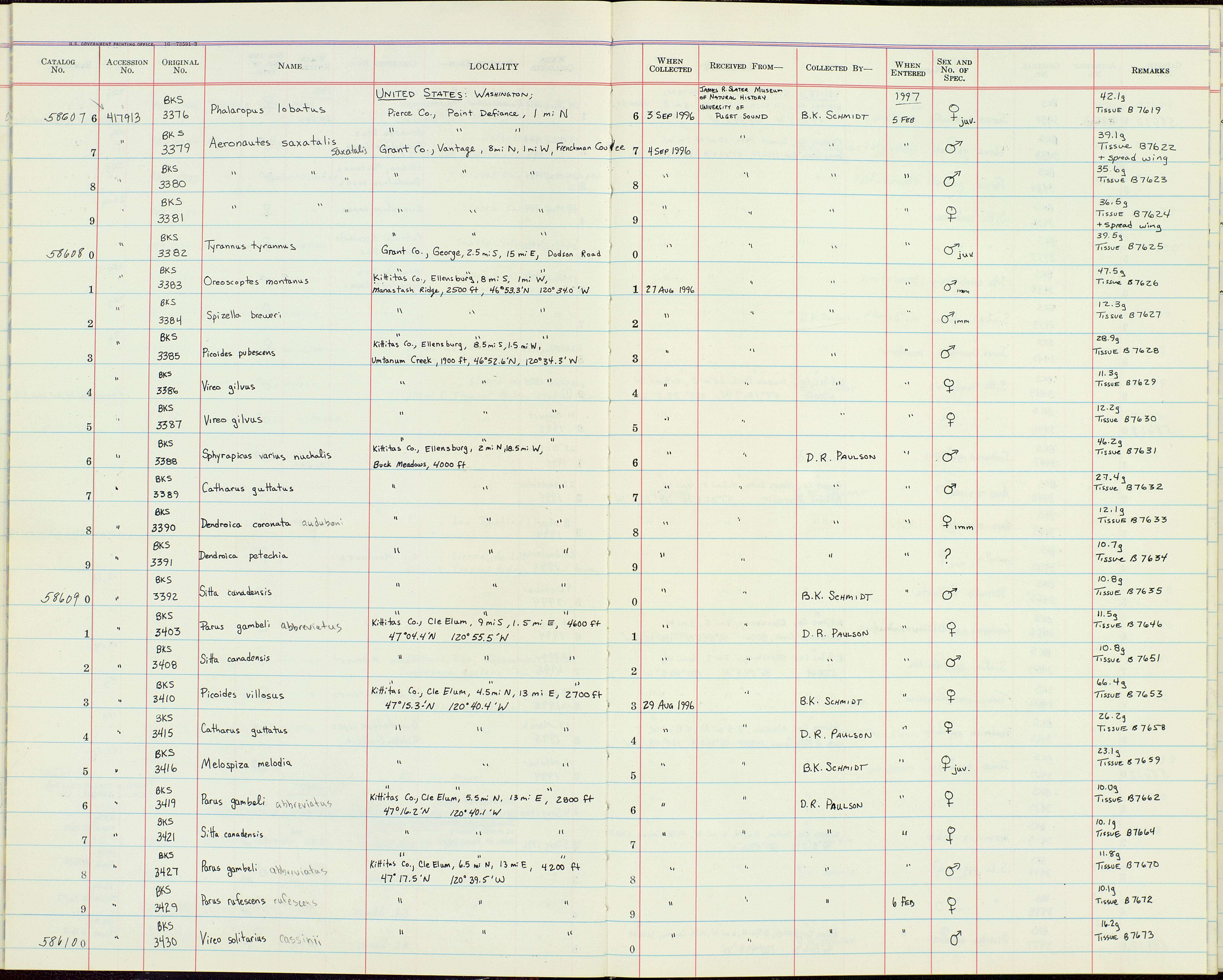 Plancia ëd Oreoscoptes Baird & SF 1858