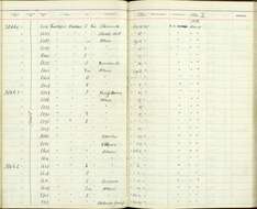 Geothlypis trichas typhicola Burleigh 1934 resmi