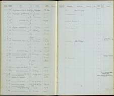 Imagem de Cistothorus platensis hornensis (Lesson & R 1834)