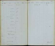 Plancia ëd Caryothraustes canadensis brasiliensis Cabanis 1851