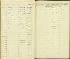 Слика од Troglodytes aedon parkmanii Audubon 1839