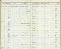 صورة <i>Dicrurus hottentottus samarensis</i> Vaurie 1947