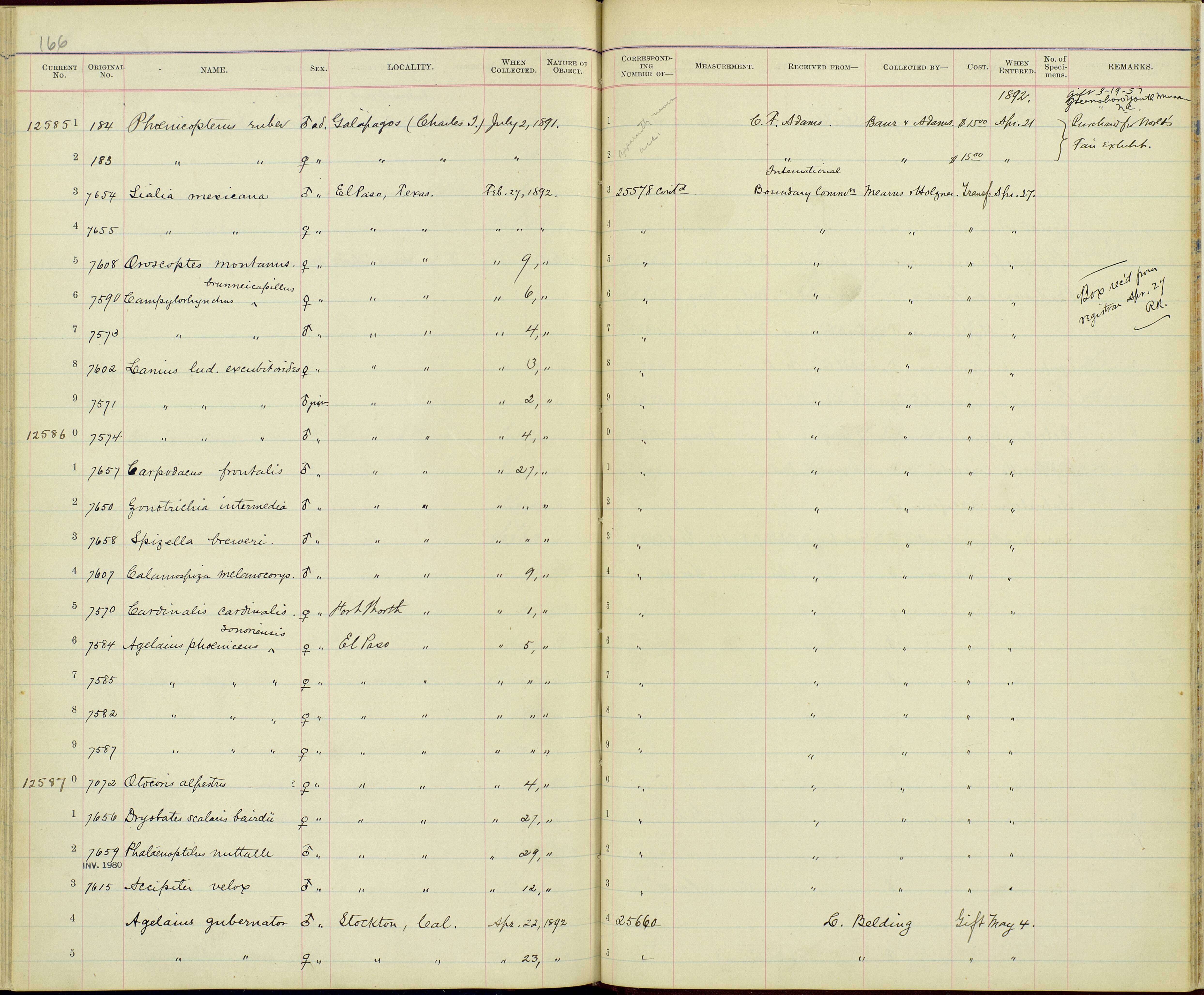 Plancia ëd Oreoscoptes Baird & SF 1858