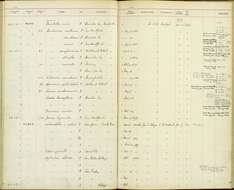 Image de Chlorostilbon canivetii salvini Cabanis & Heine 1860