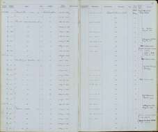 Geothlypis trichas trichas (Linnaeus 1766) resmi