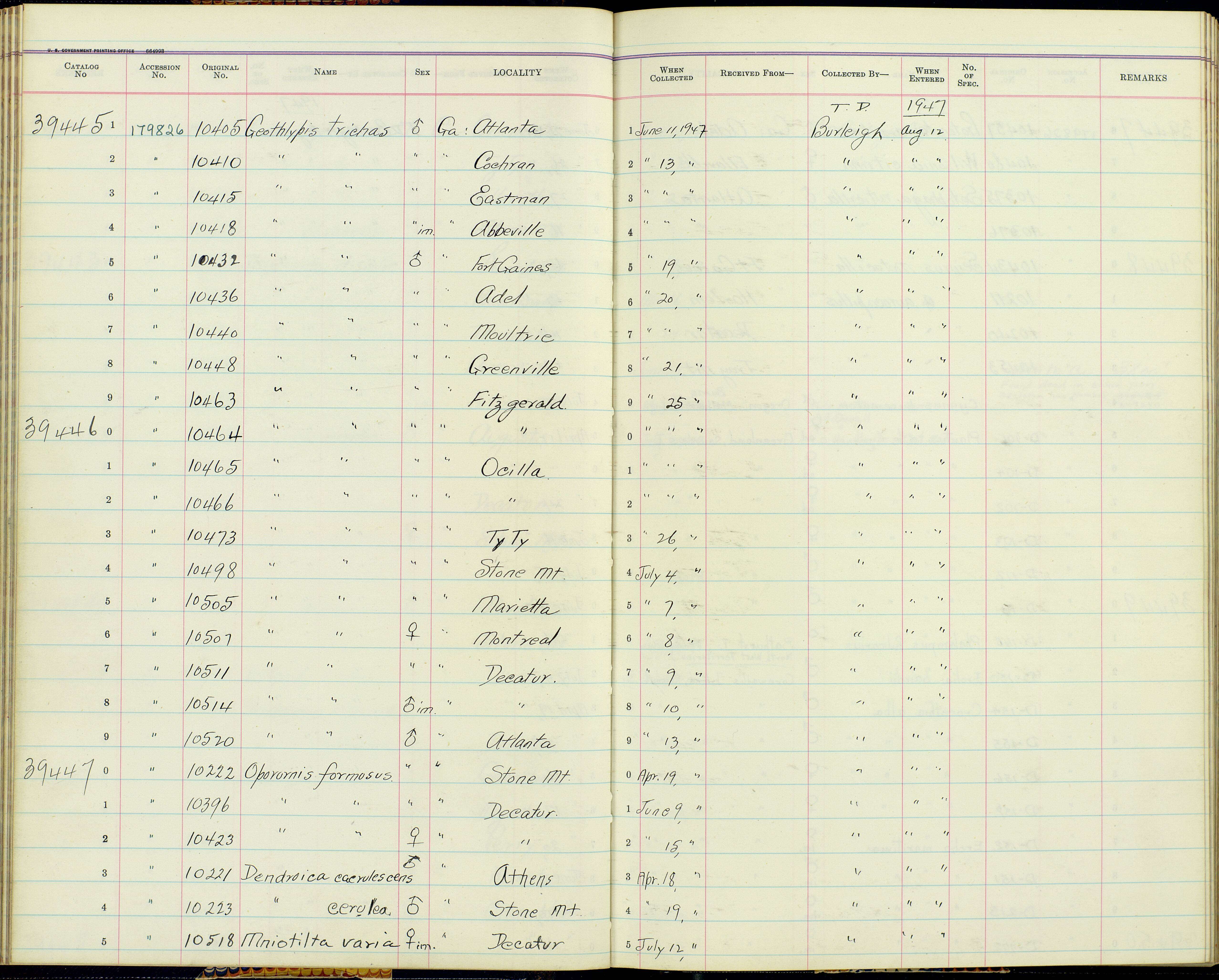 Geothlypis trichas typhicola Burleigh 1934 resmi