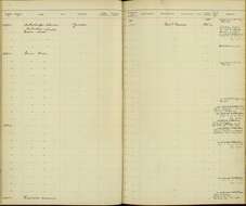 Image of Dives Cassin 1867