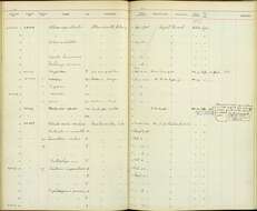 Melospiza melodia morphna Oberholser 1899 resmi