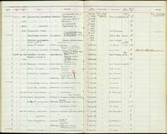 Image of Cyanocitta cristata bromia Oberholser 1921