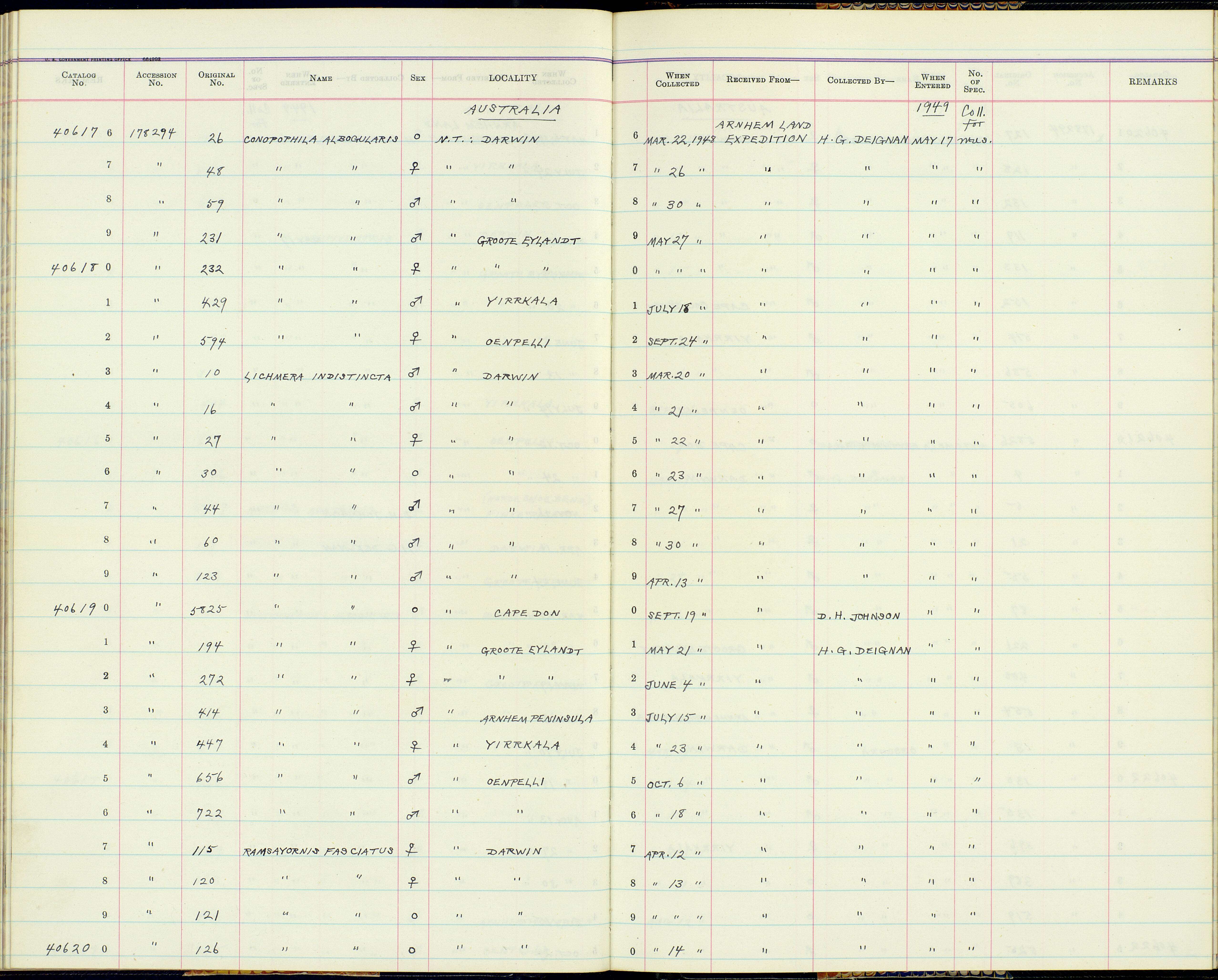 صورة Lichmera indistincta (Vigors & Horsfield 1827)