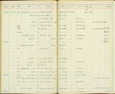 Image de Passerculus sandwichensis rostratus (Cassin 1852)