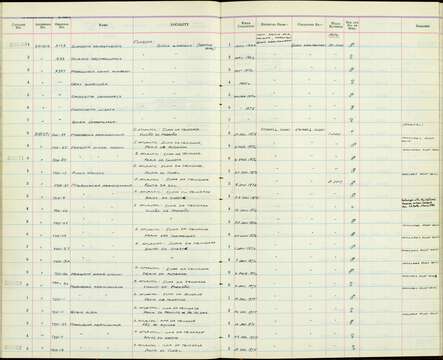 Plancia ëd Pterodroma arminjoniana (Giglioli & Salvadori 1868)