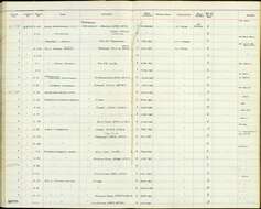 Colius striatus congicus Reichenow 1923 resmi