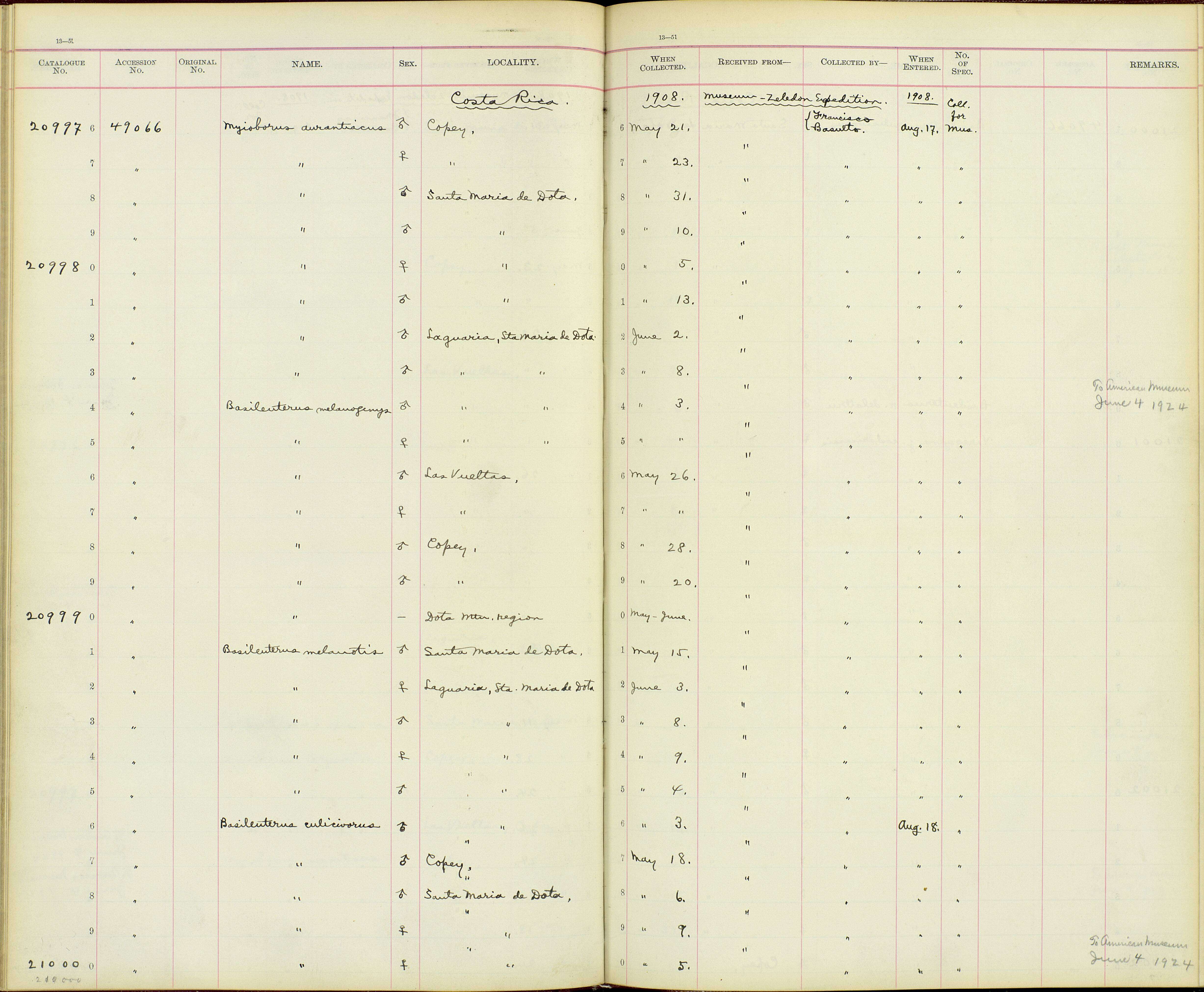 Basileuterus culicivorus godmani Berlepsch 1888 resmi