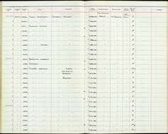 Empidonax difficilis Baird & SF 1858的圖片