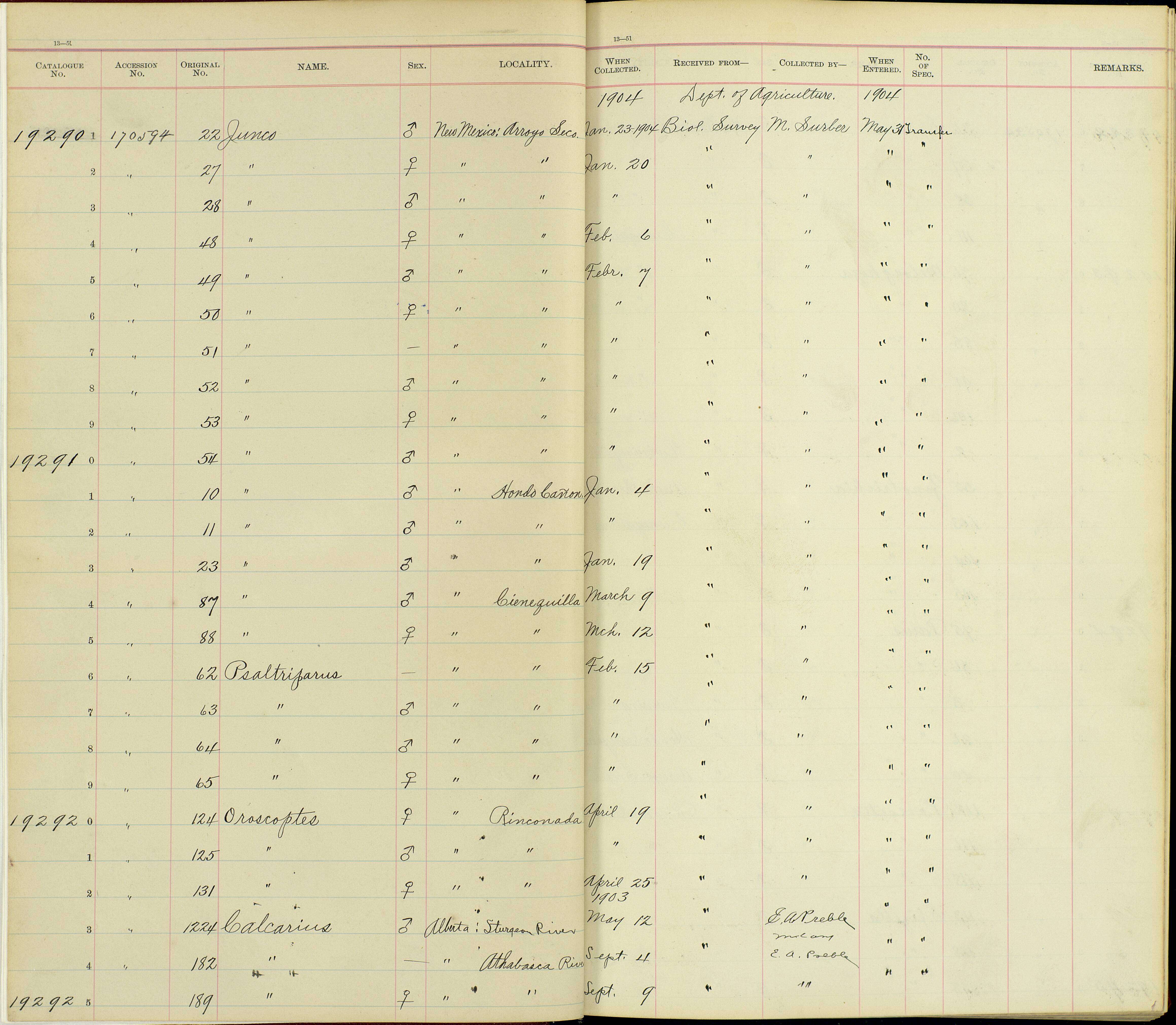 Plancia ëd Oreoscoptes Baird & SF 1858