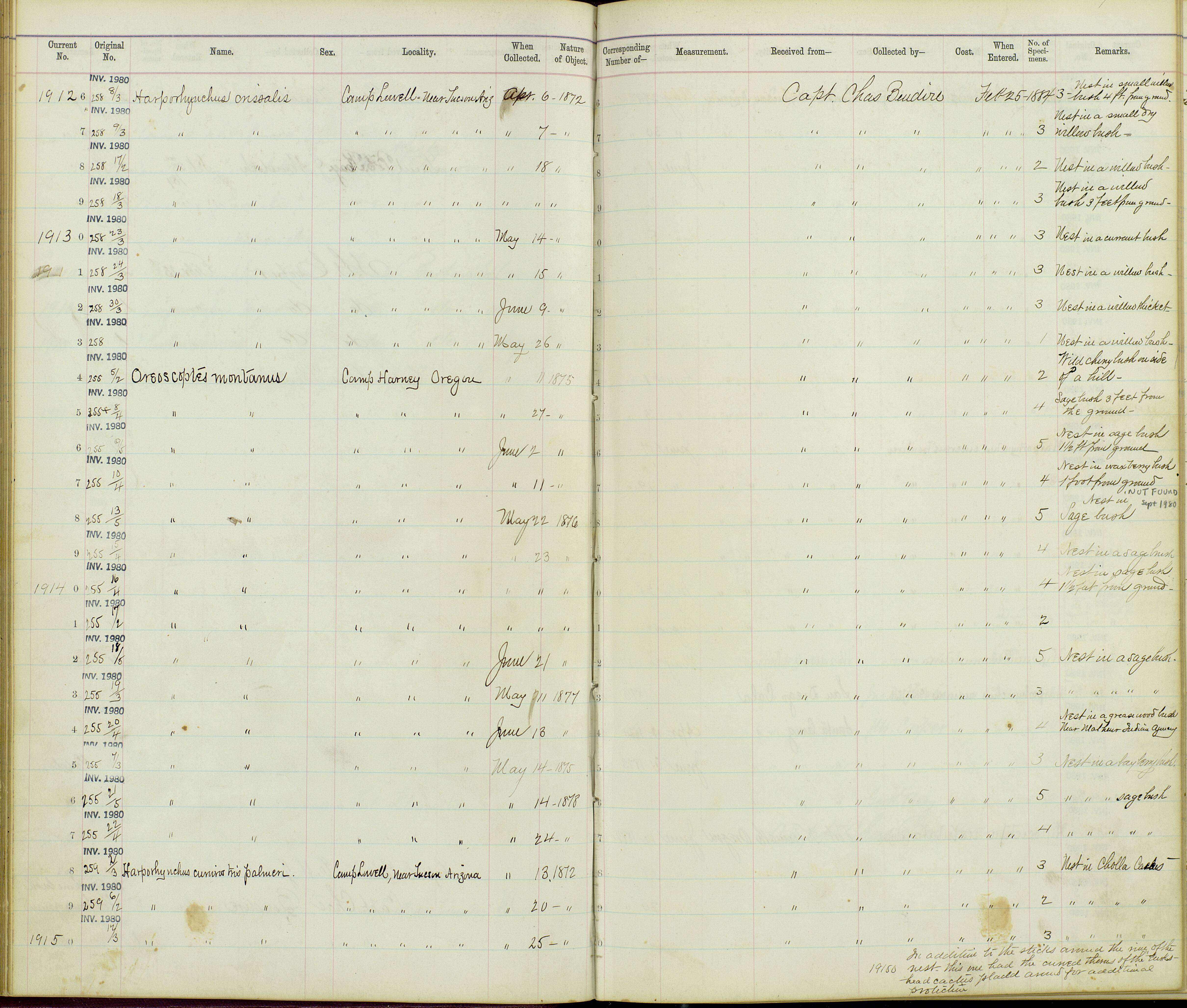 Plancia ëd Oreoscoptes Baird & SF 1858