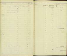 Sivun Vireo crassirostris crassirostris (Bryant & H 1859) kuva