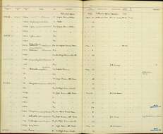 Image of Nectarinia kilimensis kilimensis Shelley 1885