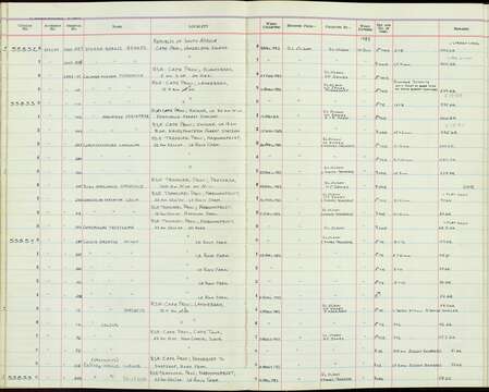 Colius colius (Linnaeus 1766) resmi