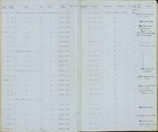 Regulus satrapa satrapa Lichtenstein & Mhk 1823 resmi