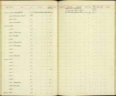 Sturnella magna auropectoralis Saunders & GB 1934 resmi