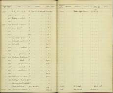 Image of Dumetella Wood & CT 1837