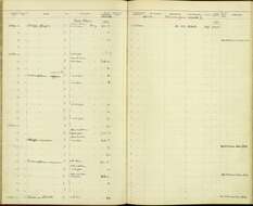 Image of Malacopteron magnirostre magnirostre (Moore & F 1854)