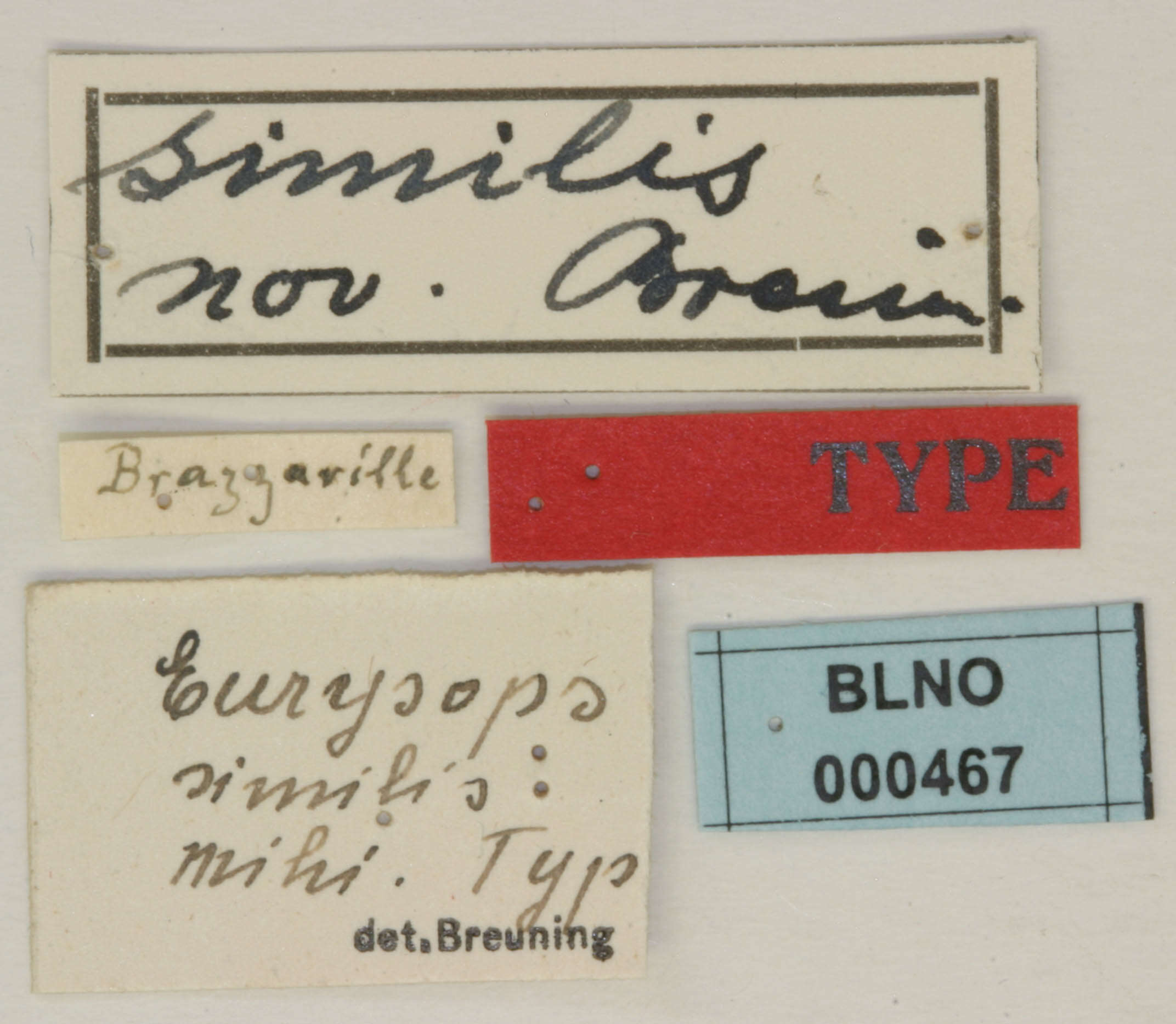 Eurysops similis Breuning 1937 resmi