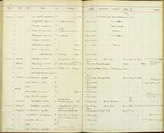 Plancia ëd Dicaeum erythrorhynchos ceylonense Babault 1920