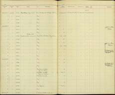 Image of Turdus abyssinicus abyssinicus Gmelin & JF 1789