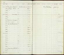 Geothlypis trichas typhicola Burleigh 1934 resmi