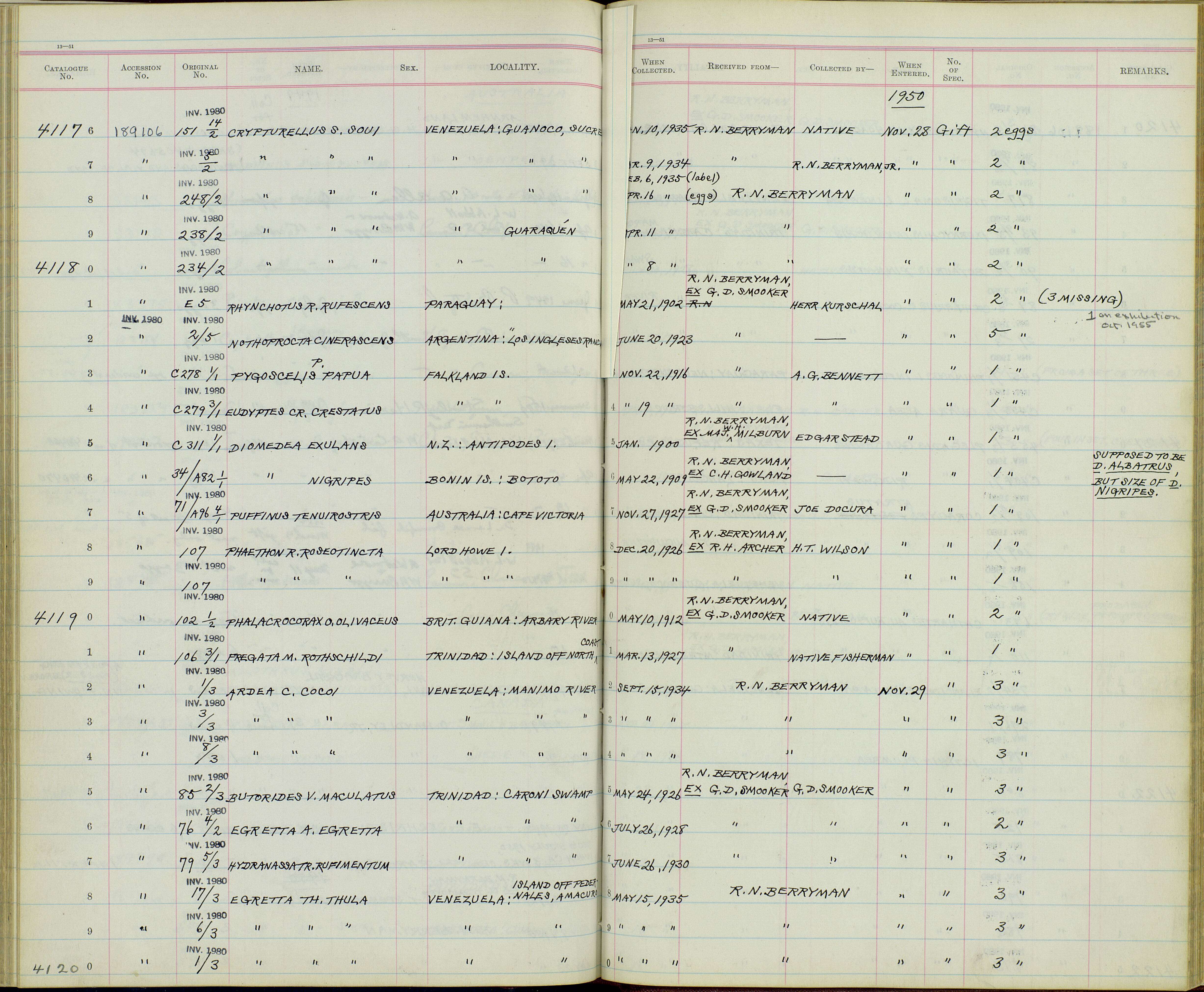 Plancia ëd Rhynchotus Spix 1825