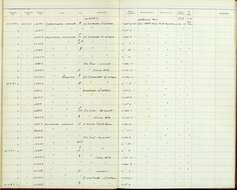 Plancia ëd Arremonops conirostris conirostris (Bonaparte 1850)