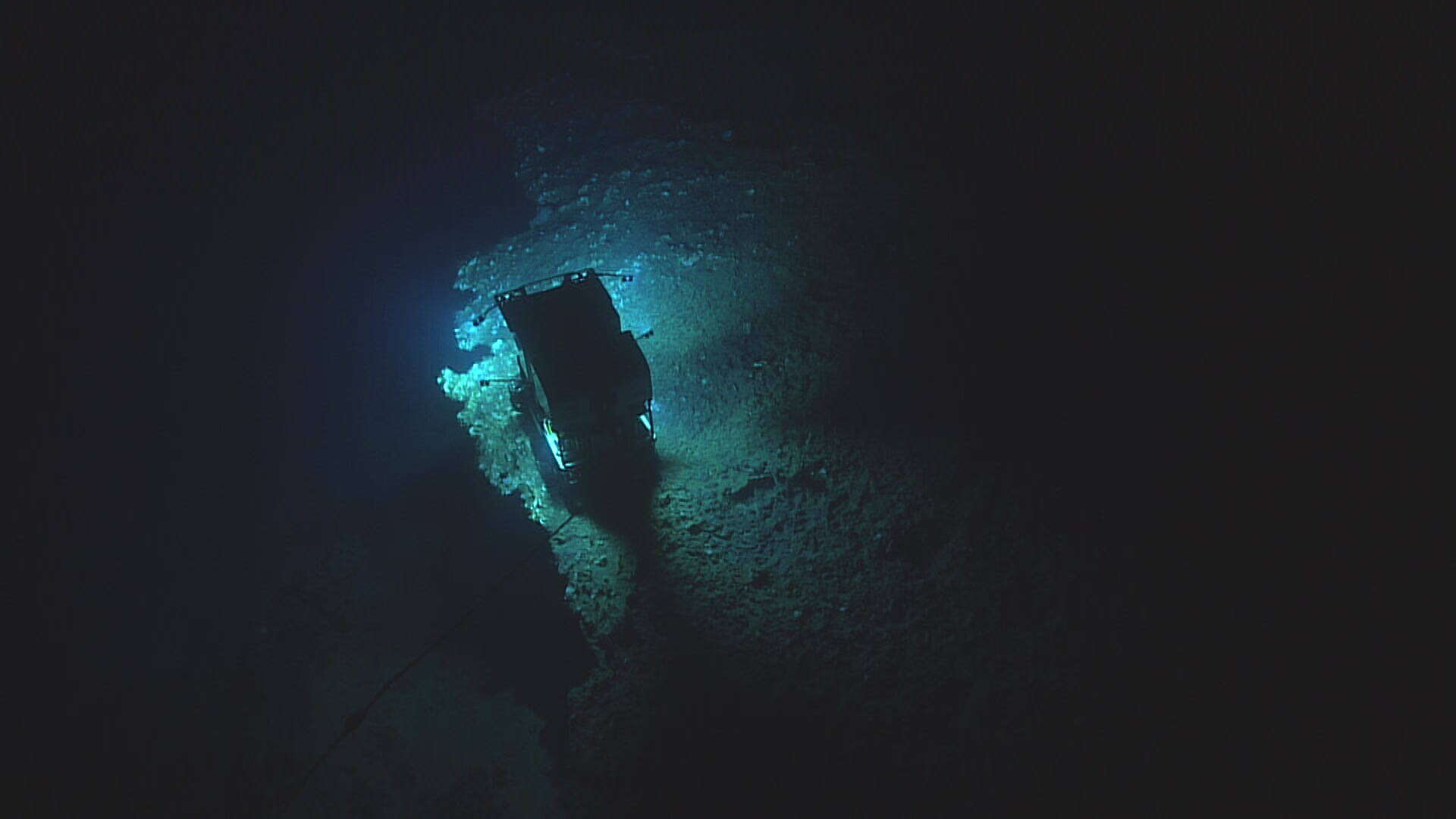 Image of Deep Sea Sponge