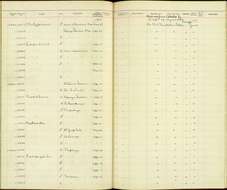 Pachyramphus aglaiae albiventris (Lawrence 1867) resmi