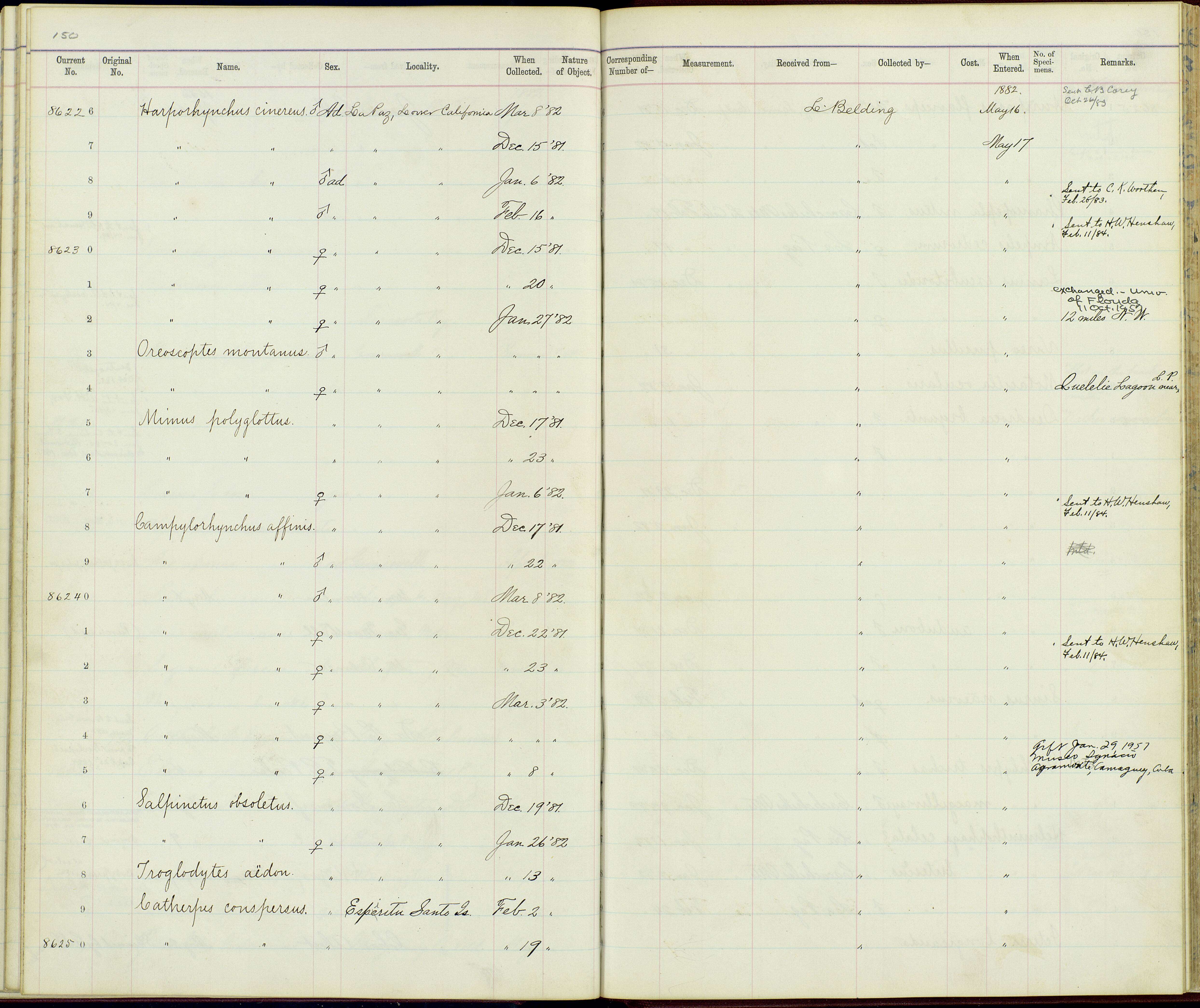 Plancia ëd Oreoscoptes Baird & SF 1858