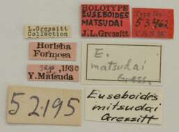 Image of Euseboides