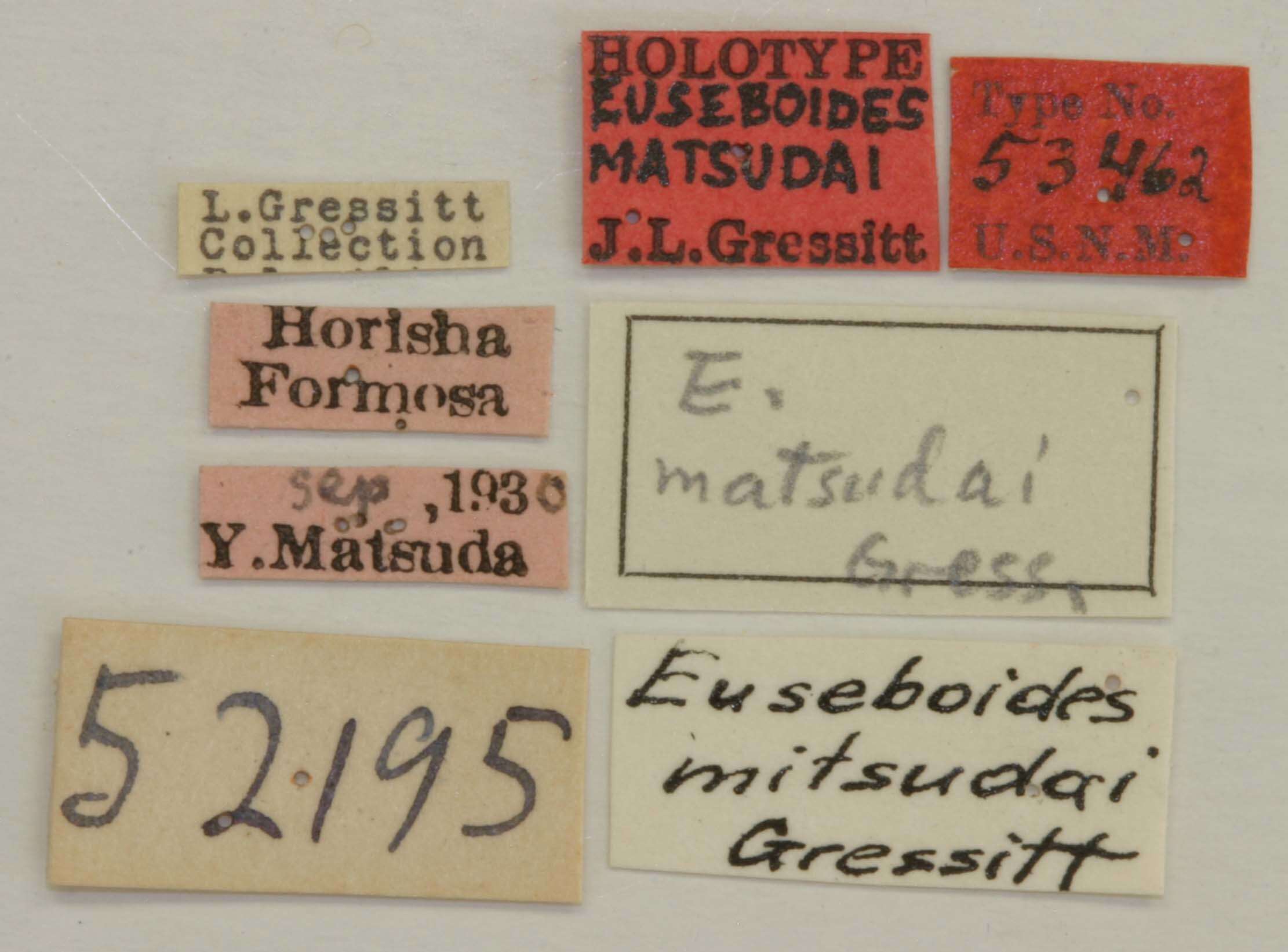 Image of Euseboides