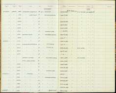 Sivun Empidonax difficilis difficilis Baird & SF 1858 kuva