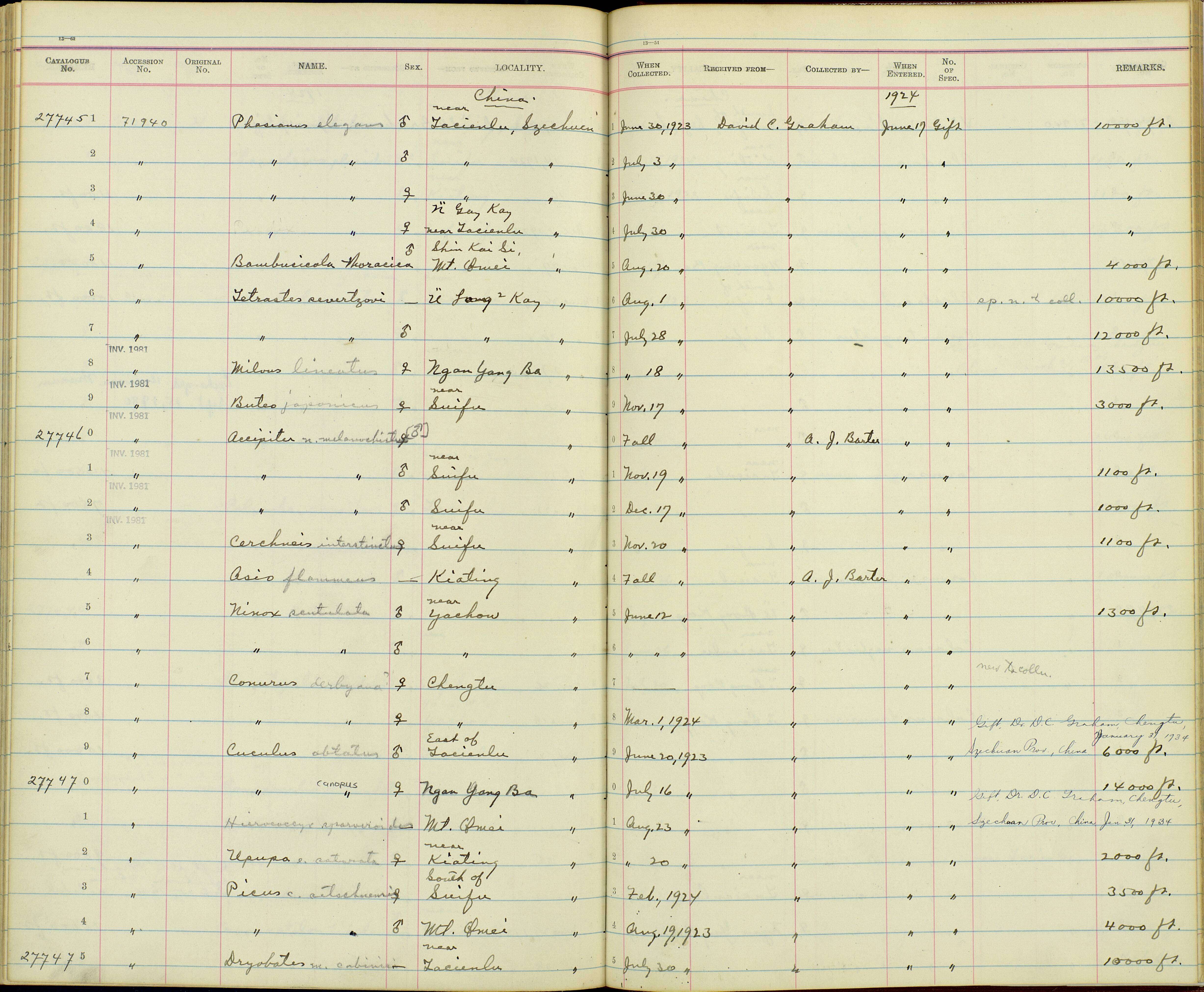 Bambusicola fytchii Anderson 1871 resmi