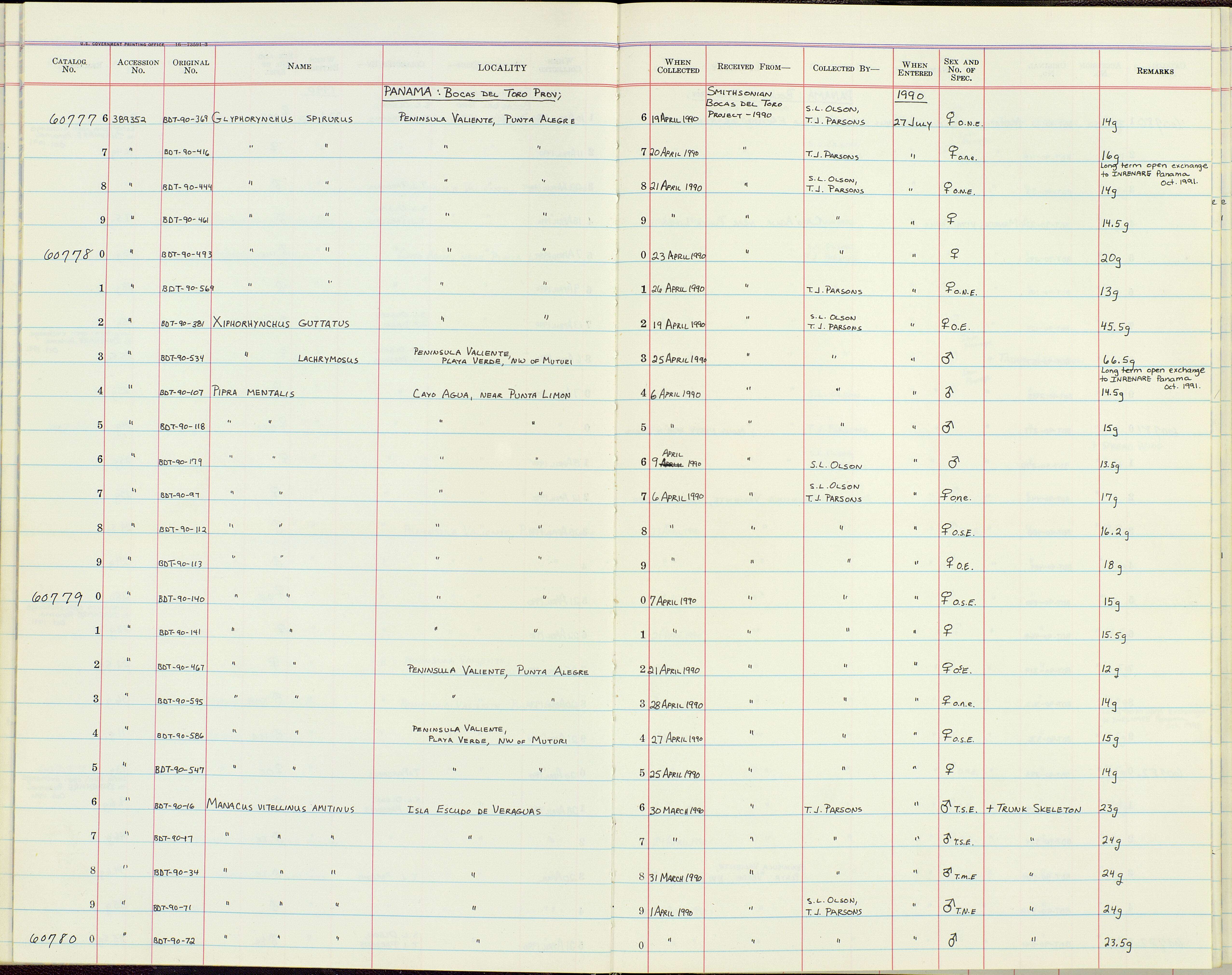 صورة Manacus vitellinus amitinus Wetmore 1959