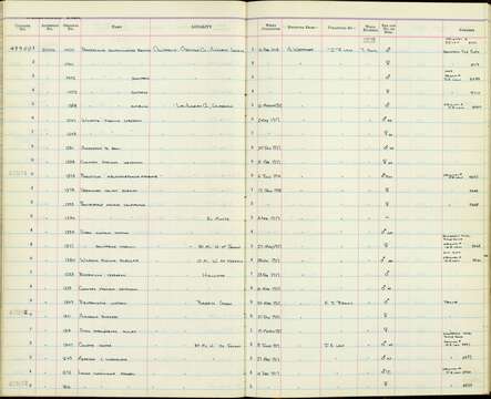 Passerculus sandwichensis sanctorum Coues 1884 resmi