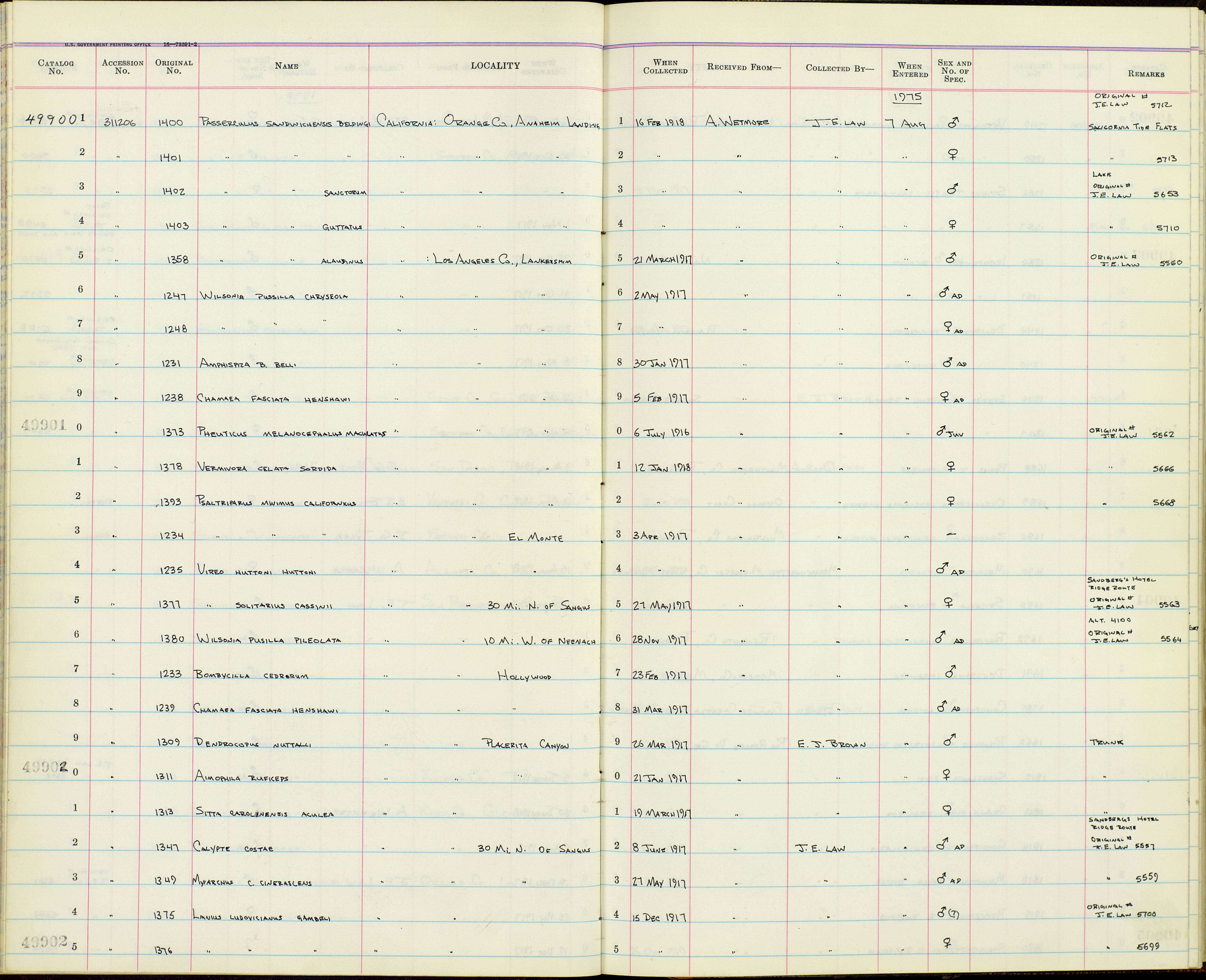 Image de Passerculus sandwichensis sanctorum Coues 1884