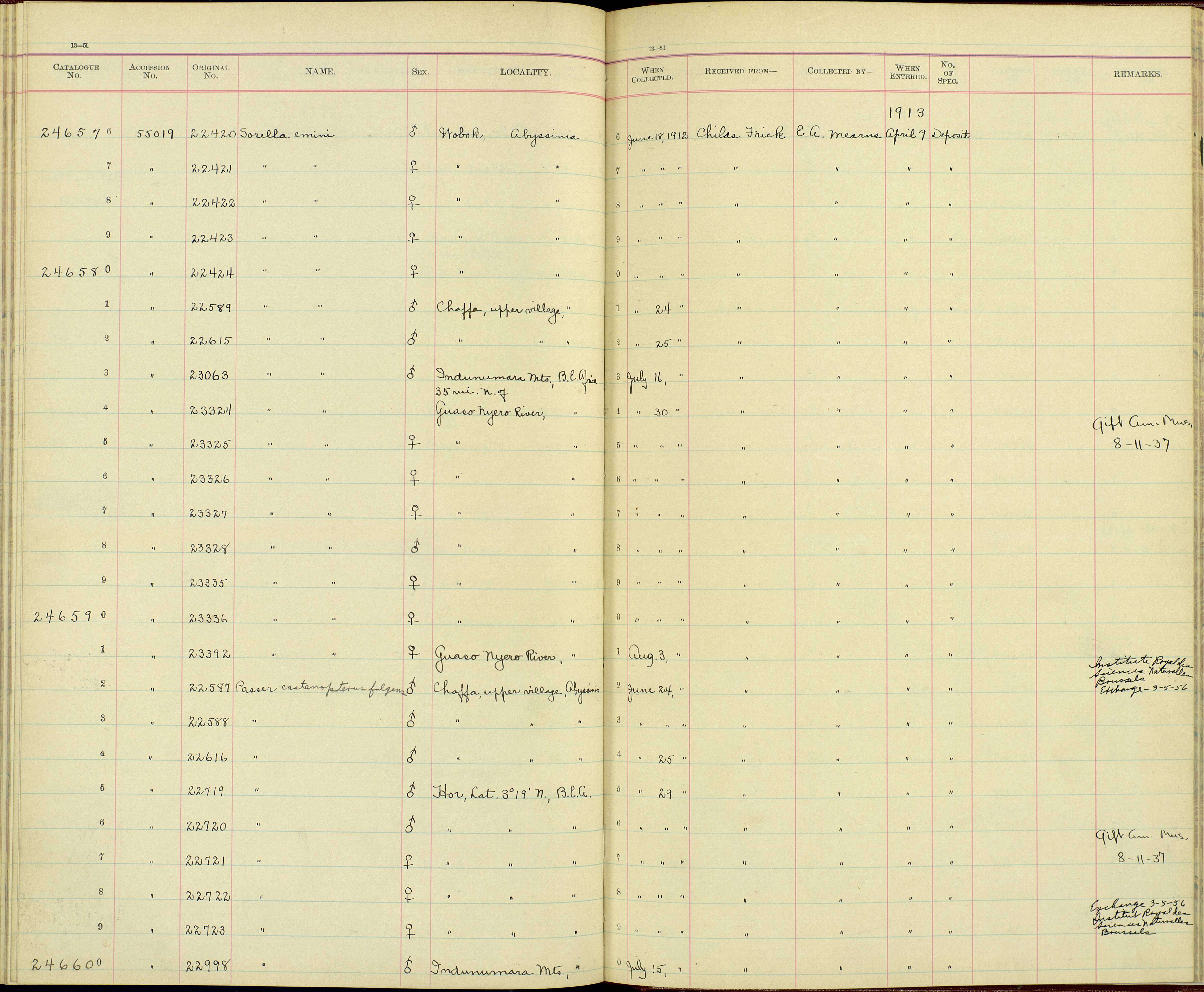 Слика од Passer castanopterus fulgens Friedmann 1931