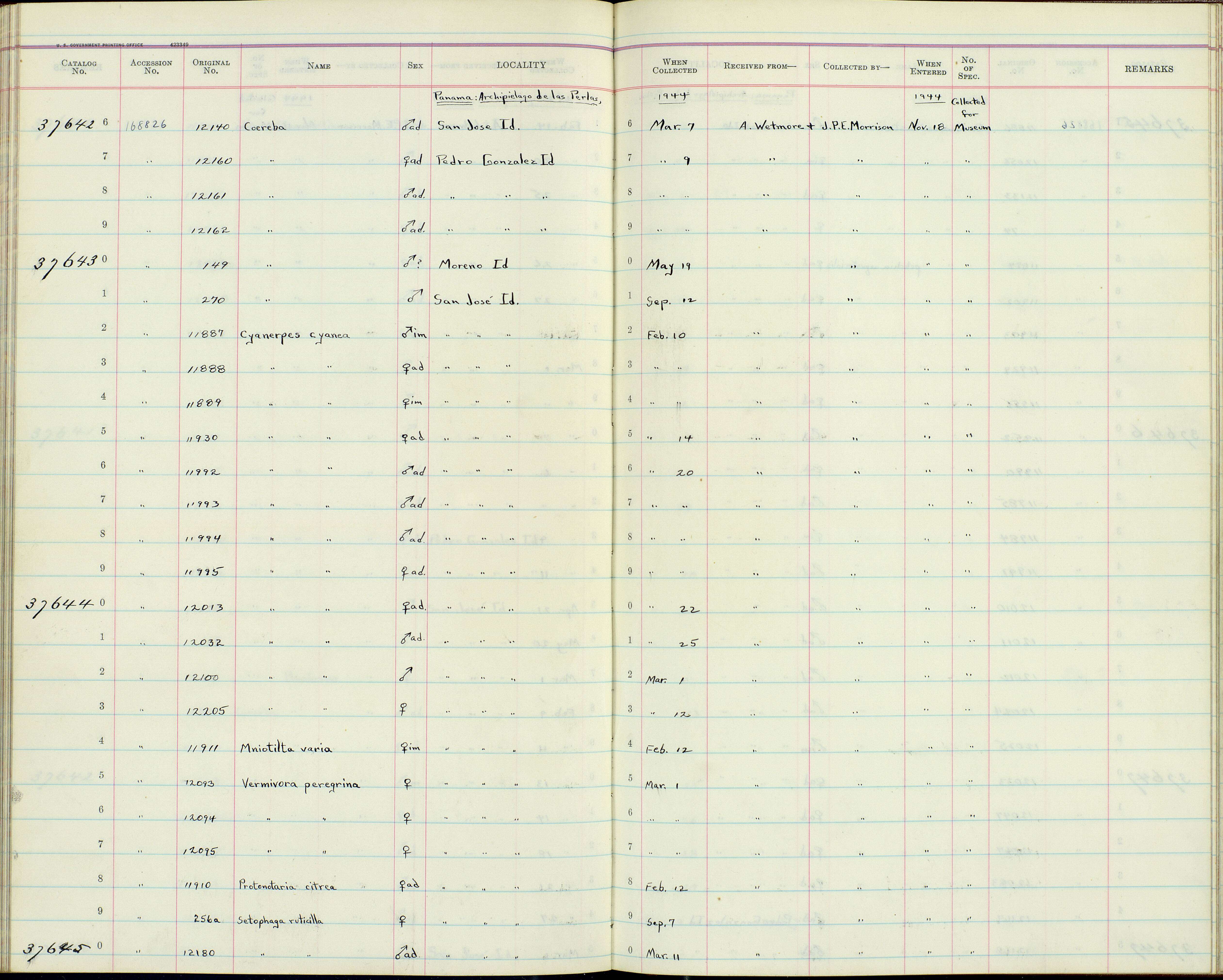 صورة Coereba flaveola cerinoclunis Bangs 1901