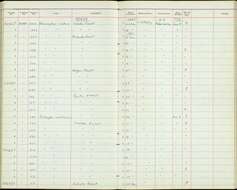 صورة Cossypha natalensis intensa Mearns 1913