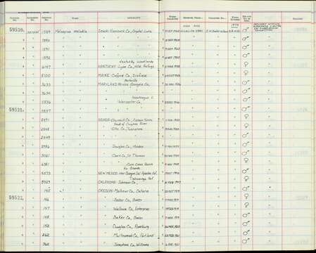 Melospiza melodia montana Henshaw 1884 resmi